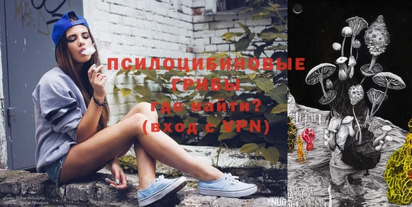 сатива Алексеевка