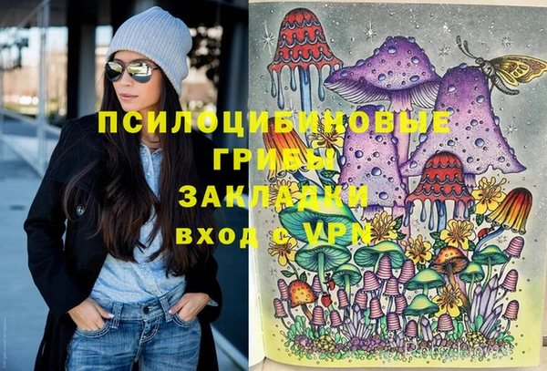 сатива Алексеевка