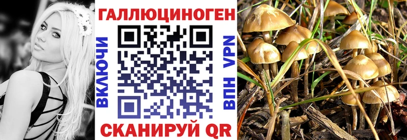 Галлюциногенные грибы мухоморы Харабали